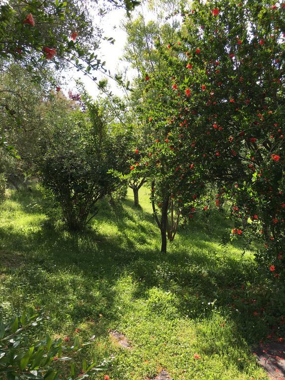 Casale Le Querce Διαμέρισμα Castelnuovo Berardenga Εξωτερικό φωτογραφία